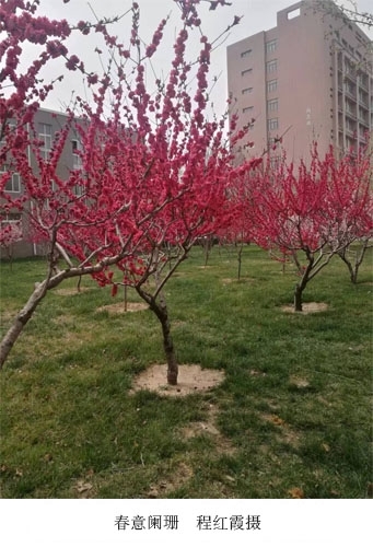 新闻稿图4.jpg 新闻稿图4.jpg