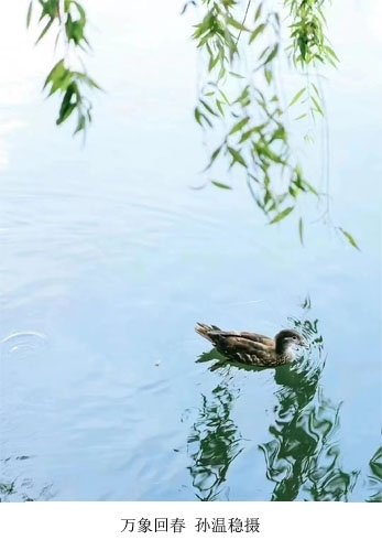 新闻稿图2.jpg 新闻稿图2.jpg