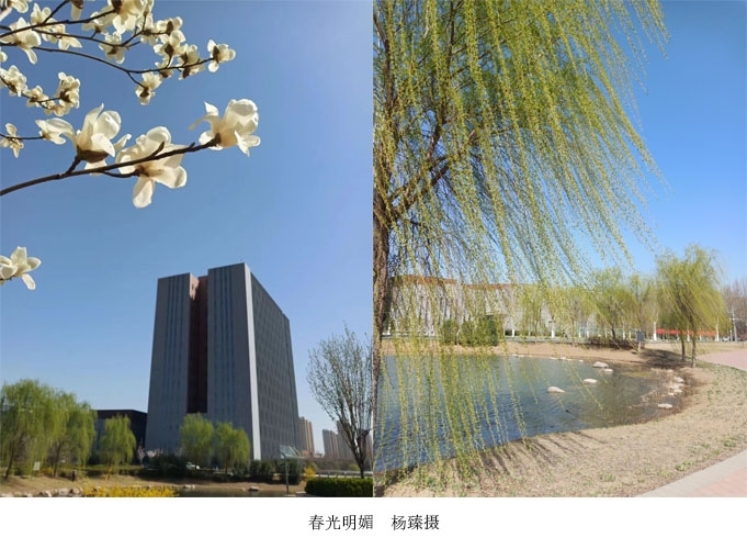 新闻图3.jpg 新闻图3.jpg