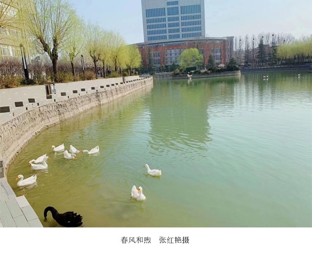 新闻稿图8.jpg 新闻稿图8.jpg