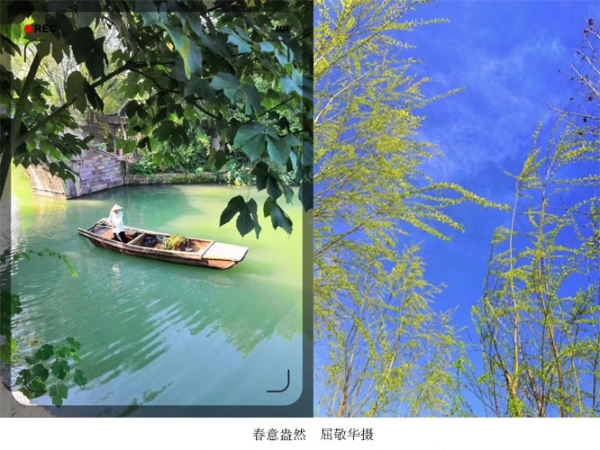 新闻稿图1.jpg 新闻稿图1.jpg