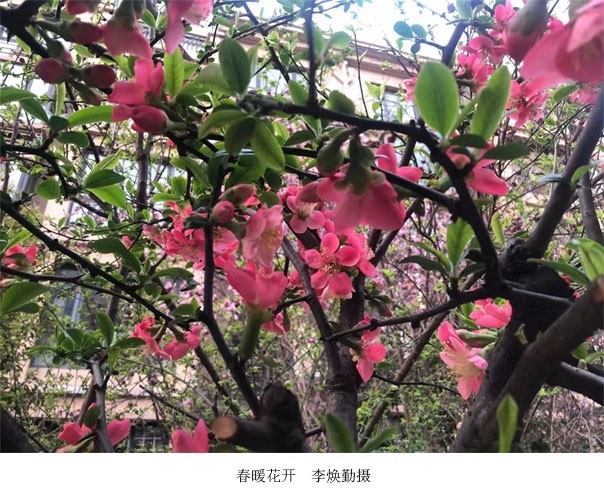 新闻图5.jpg 新闻图5.jpg