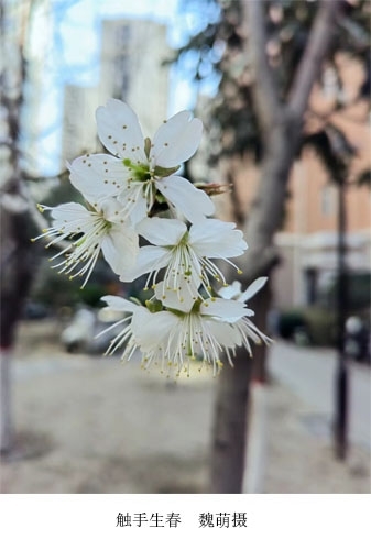 新闻稿图10.jpg 新闻稿图10.jpg