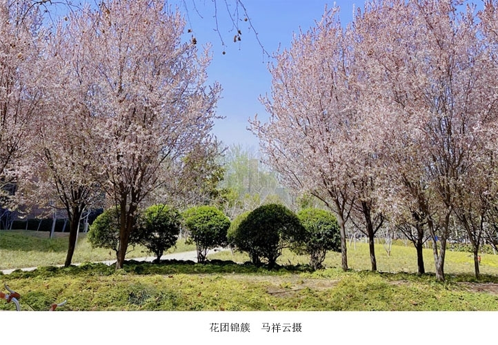 新闻稿图7.jpg 新闻稿图7.jpg